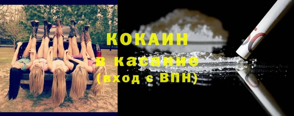 тгк Алзамай