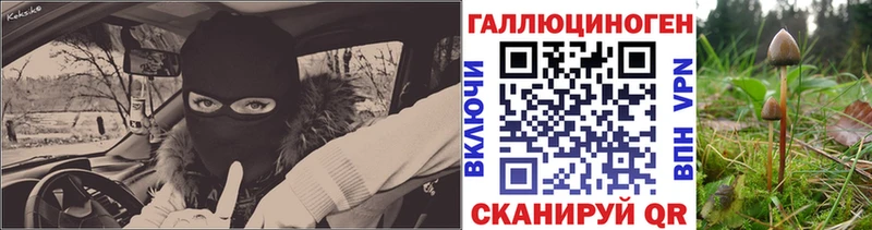 Галлюциногенные грибы мицелий  kraken tor  Николаевск-на-Амуре  цена  
